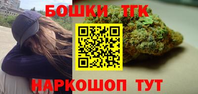индика Будённовск