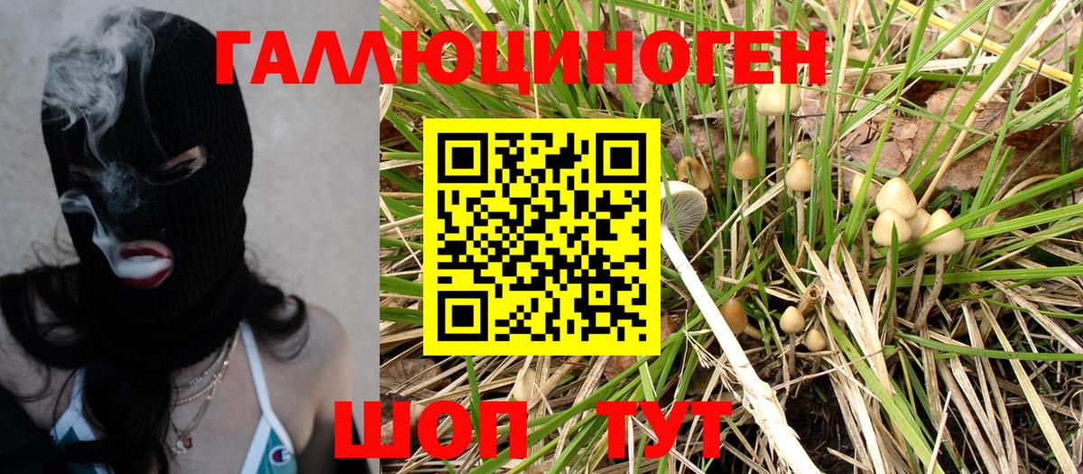 Фурманов  Псилоцибиновые грибы MAGIC MUSHROOMS  Вход с VPN 