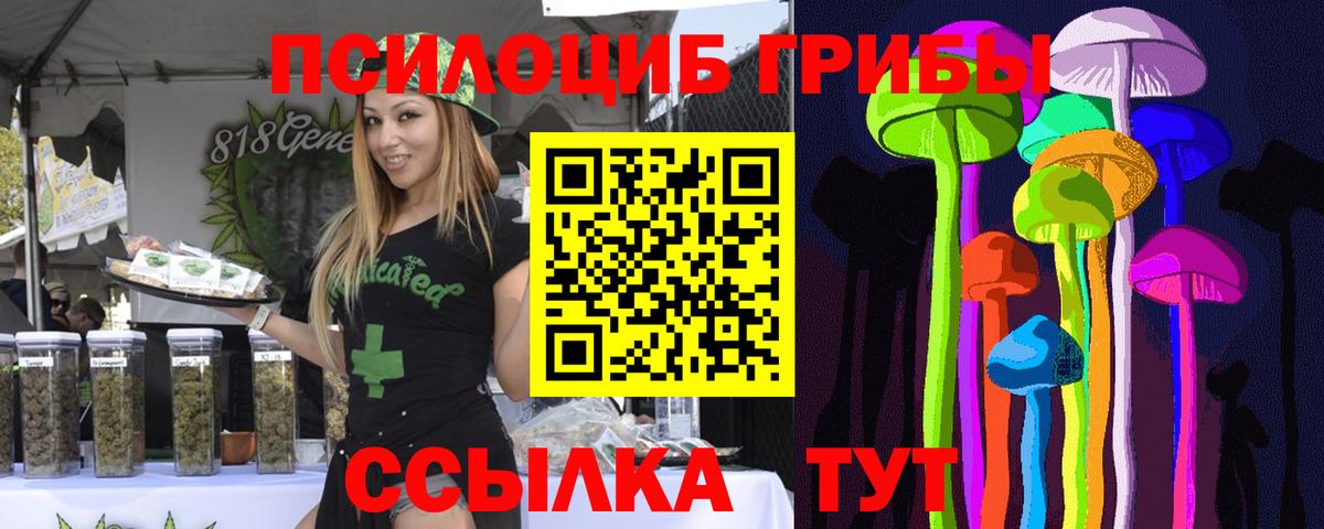 Псилоцибиновые грибы GOLDEN TEACHER Фурманов